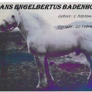 BADENHORST-Frans-Engelbertus-Nn-Badie-1921-2018-M_2
