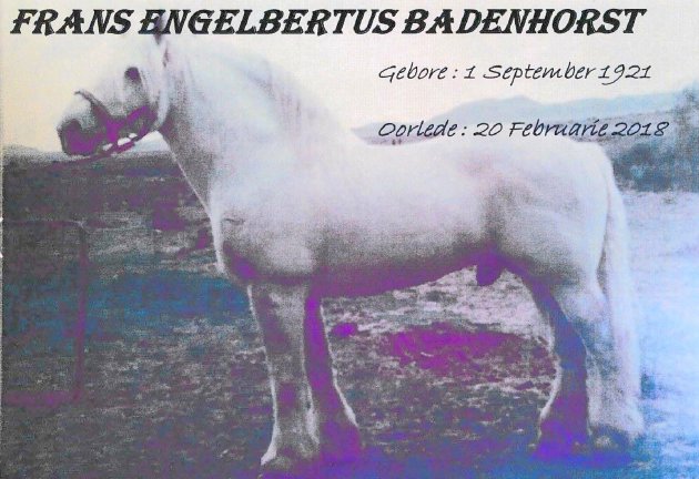 BADENHORST-Frans-Engelbertus-Nn-Badie-1921-2018-M_98