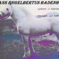 BADENHORST-Frans-Engelbertus-Nn-Badie-1921-2018-M_98