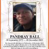 BALL-Pandray-1973-2021-M