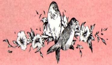 BEKKER-Cornelia-Susanna-Aletta-Nn-Corrie-1946-2019-F_5