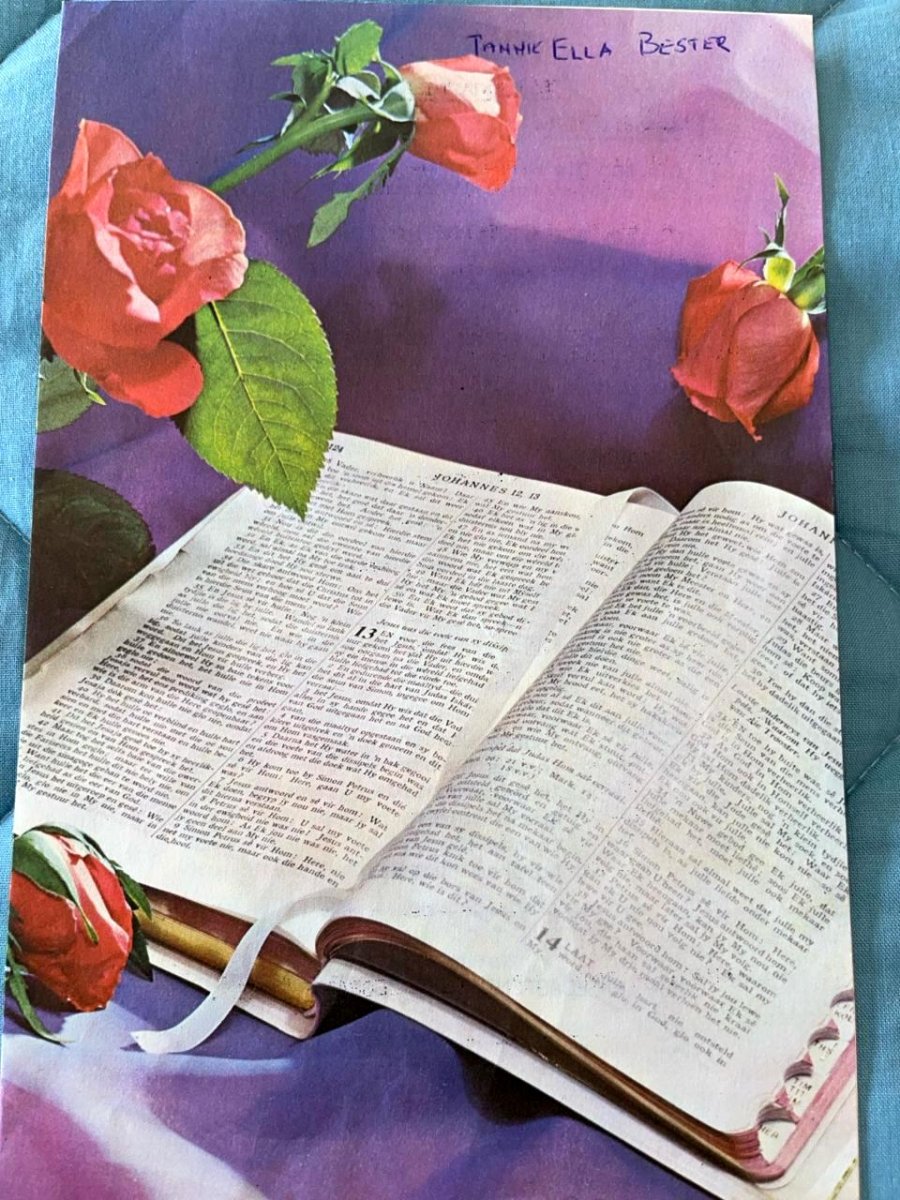 BESTER-Ella-Elizabeth-Nn-Ella-nee-Viljoen-1915-1975-F_01