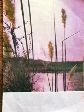 BEZUIDENHOUT-Maria-Cornelia-Johanna-nee-Buys-1925-1976-F