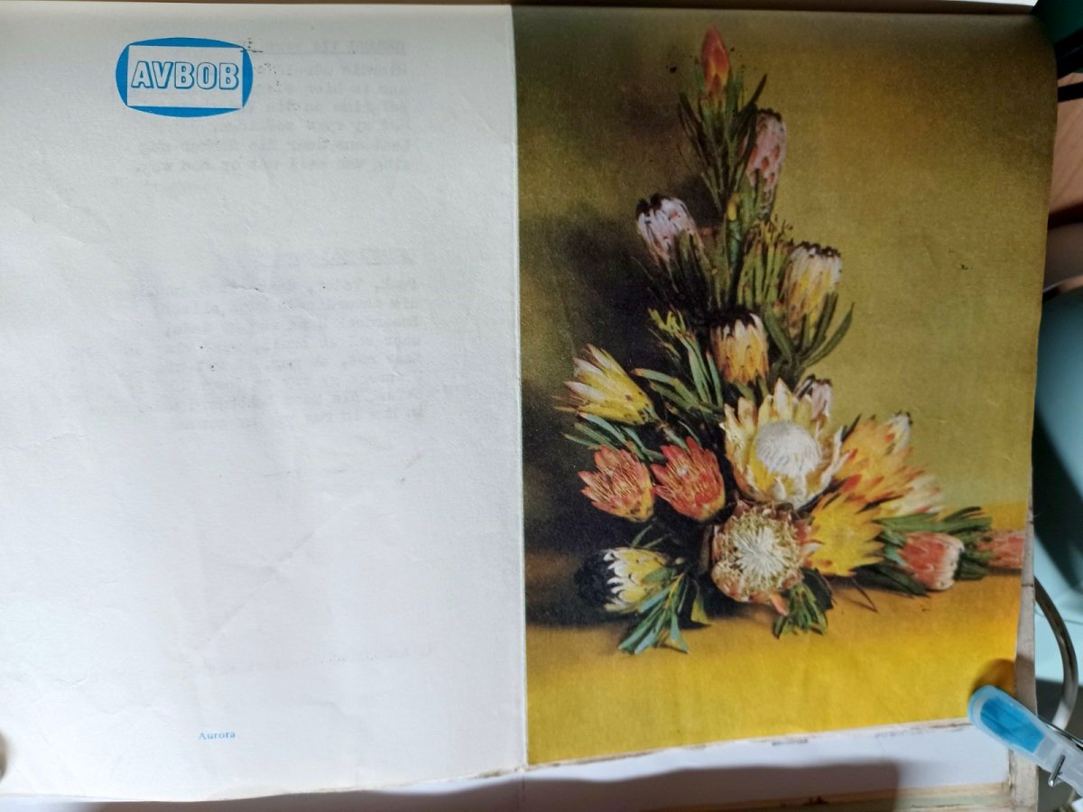 BILJON-VAN-Susanna-Johanna-nee-Nel-1893-1980-F-101