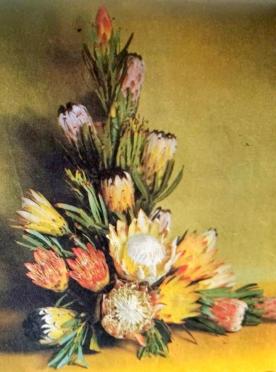 BILJON-VAN-Susanna-Johanna-nee-Nel-1893-1980-F_101