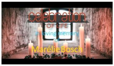 BOSCH-Marélie-1969-2022-F_97