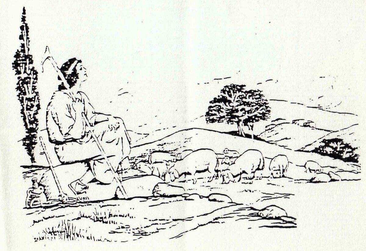 COETZEE-Theunis-Frederick-Jacobus-1928-1991-M_04