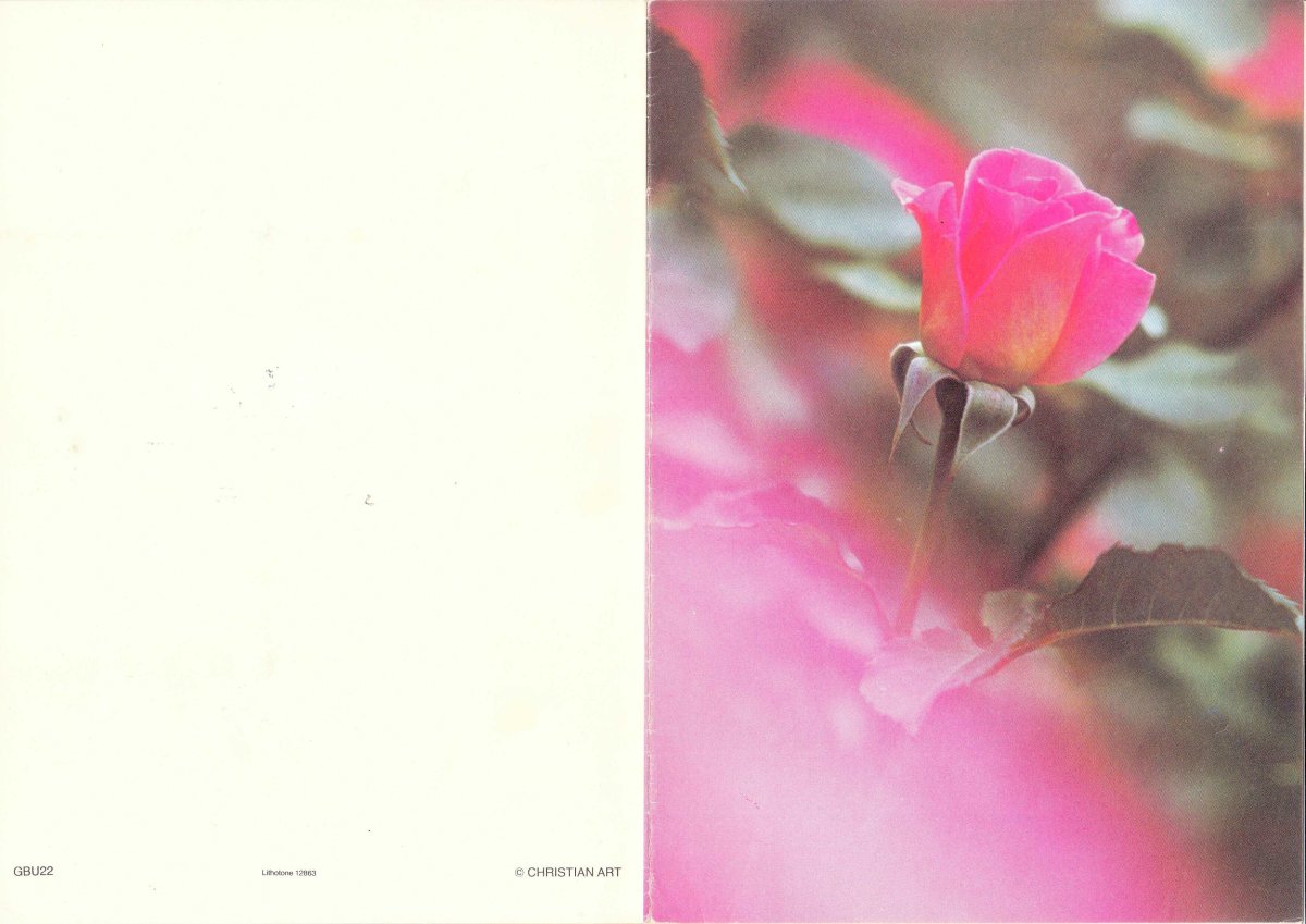 ELS-Eva-Dorothy-Catherine-1923-1990-F-01