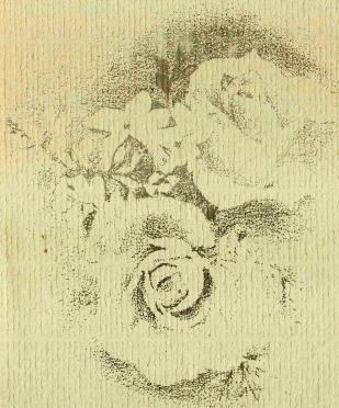 FAURIE-Surnames-Vanne