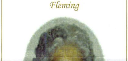 FLEMING-Surnames-Vanne
