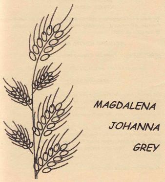 GREY-Magdalena-Johanna-nee-Bredenkamp-1917-2001-F_100