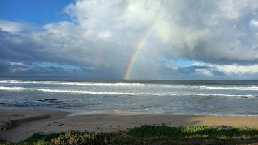 20230518_Albatross beach_Jeffreys Bay_Eastern Cape_5