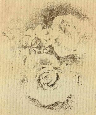 HEEVER-VAN-DER-Eliza-Johanna-1919-1996-F