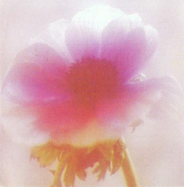 HENERY-Francois-Gabriel-Nn-Francois-1959-1991-M