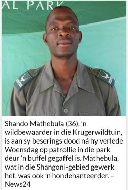 MATHEBULA-Shando-0000-2022-M_4