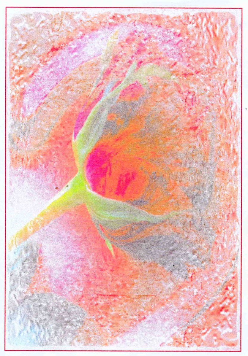 OLIVIER-Esther-Jureen-Nn-OuLady-nee-Rudman-1939-2009-F_94