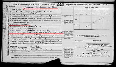 PLESSIS-DU-Johanna-Catharina-Nn-Johanna-1875-1918-F-04