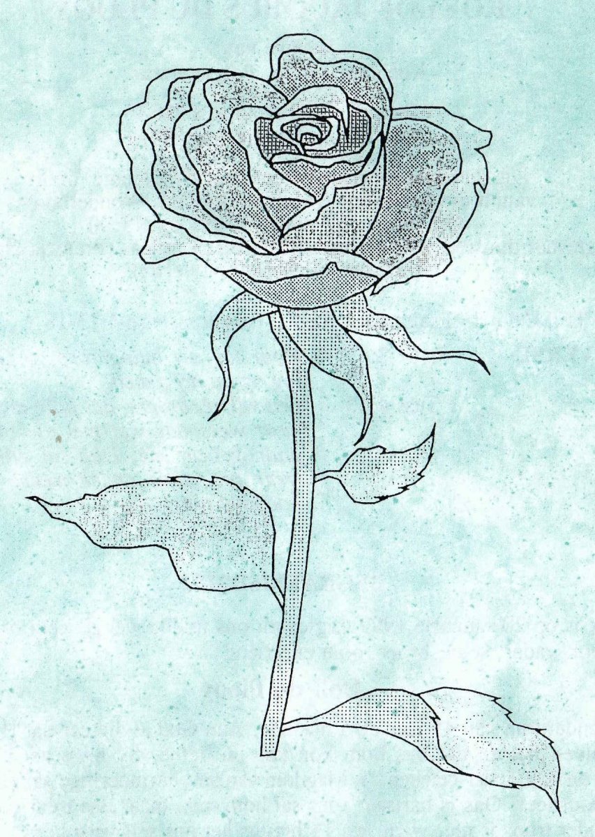 PLOOY-DU-Roelof-Jacobus-Nn-Dolf-1953-1999-M_01