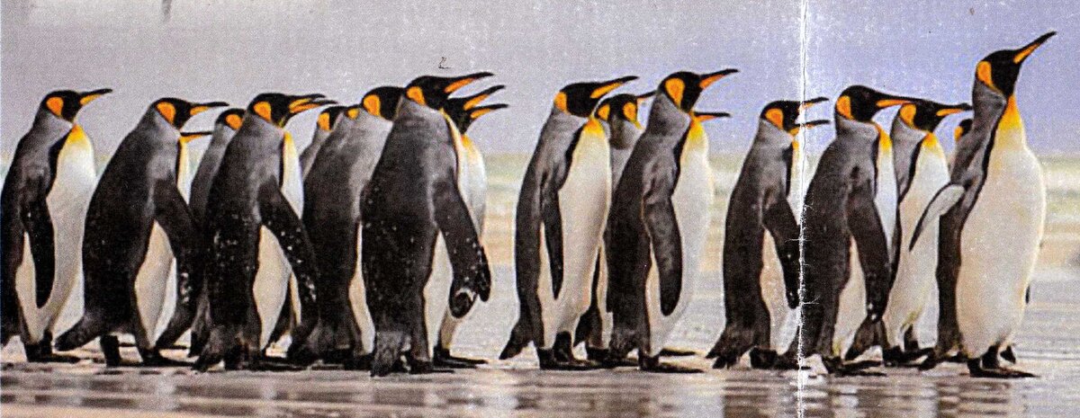 POOL-Janet-Nn-Nettie-1943-2024-F_02