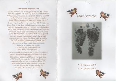 PRETORIUS-Lune-2011-2011-F