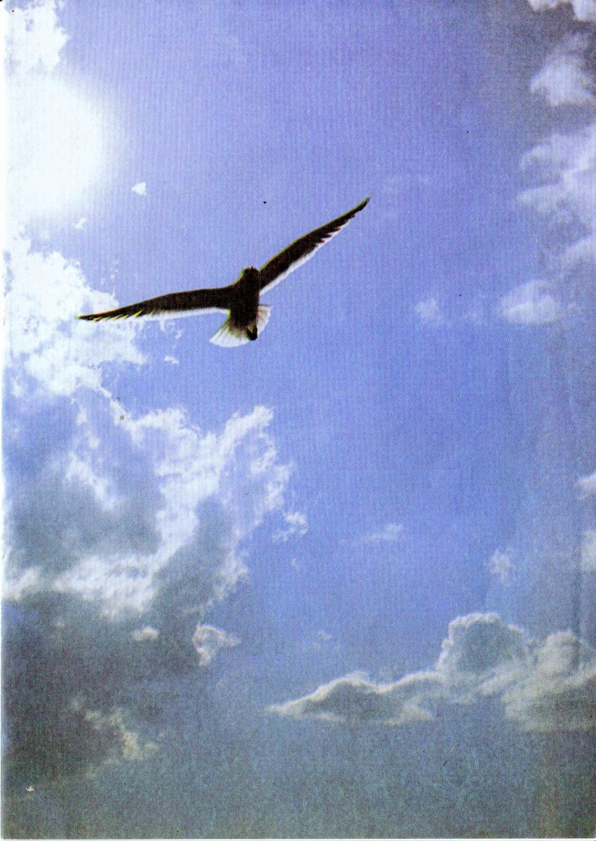PRINSLOO-Jacobus-Martinus-Nn-Koos-1926-2009-M-01