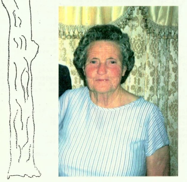 ROOYEN-VAN-Sarie-Jacoba-née-oNeil-X-VanTonder-1912-1993-F_99