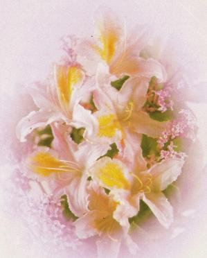 SHARP-Eliza-Lucy-1937-1991-F