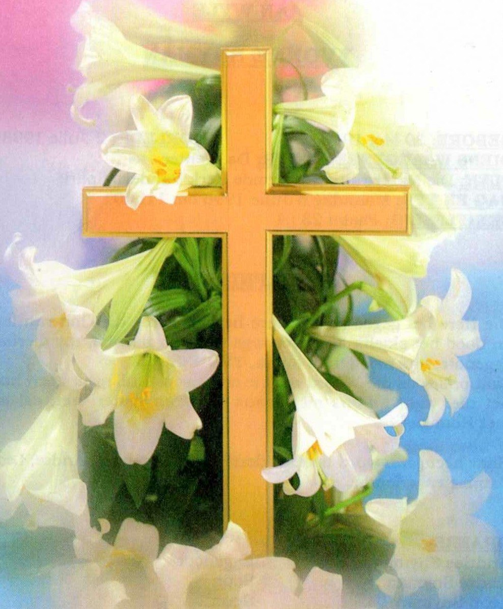 SNYMAN-Yvonne-1940-1998-F_1