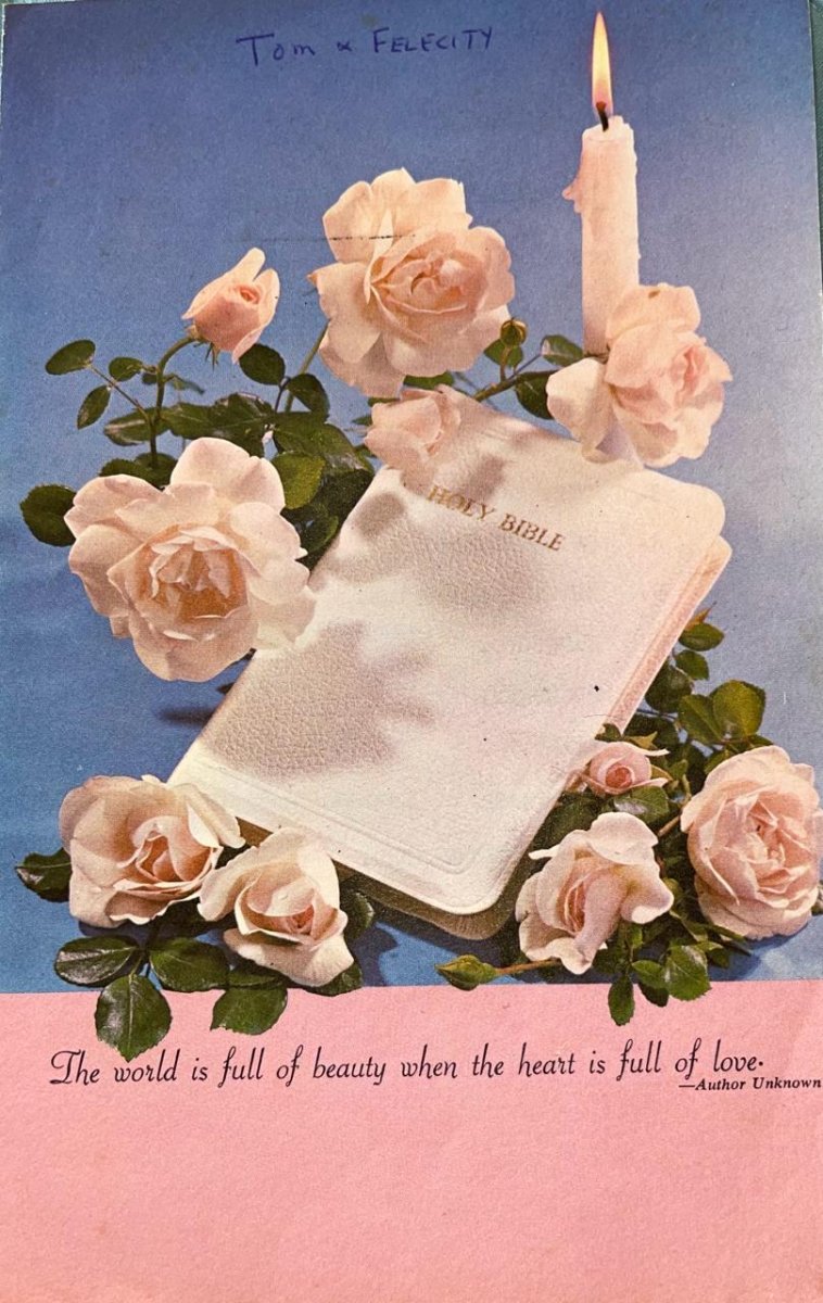 STEYNBERGH-Felicity-Agnes-Nn-Felicity-UnkDate-UnkDate-F-01