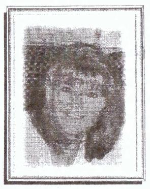 STRYDOM-Cornelia-Hester-Nn-Cornelia-1951-2008-F_99