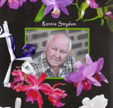 STRYDOM-Ronald-Hugo-Nn-Ronnie-1941-2011-M_99