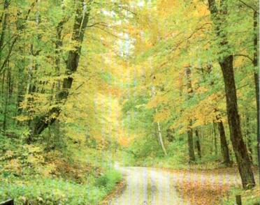 SWART-Willem-Schalk-Nn-Willie-1962-2001-M-10