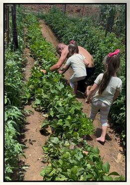 TALJAARD-Johannes-Jacobus-Nn-Koos-1966-2025-M-07