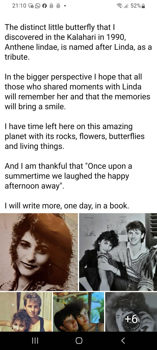 TERBLANCHE-Linda-nee-Botha-1966-1990-F-12