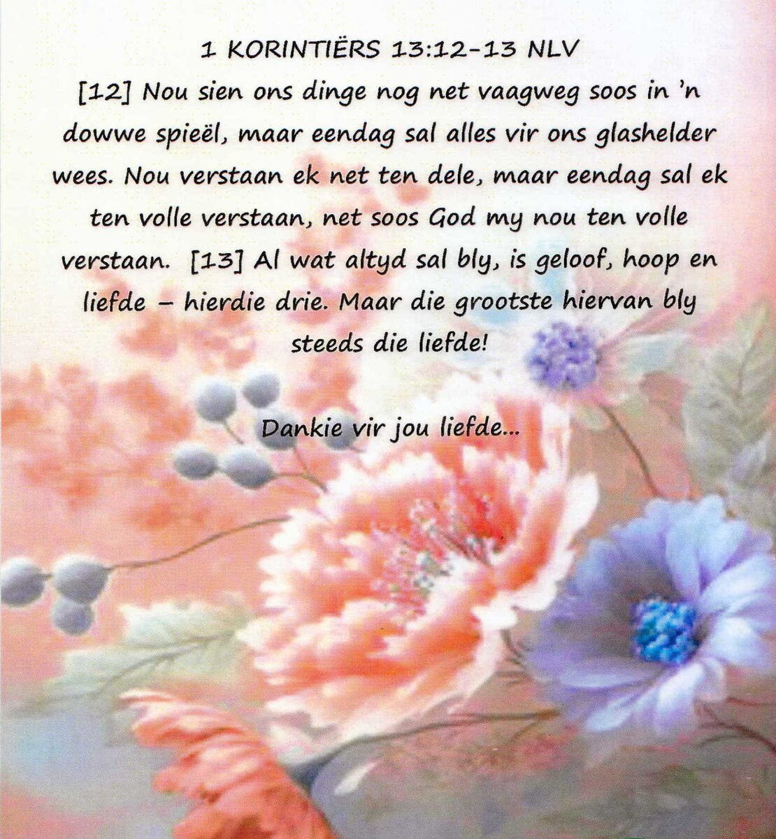 TOIT-DU-Isabella-Elsabe-Nn-Elsa-1929-2023-F_04