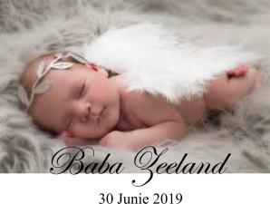 ZEELAND-Baba-0000-2019-M