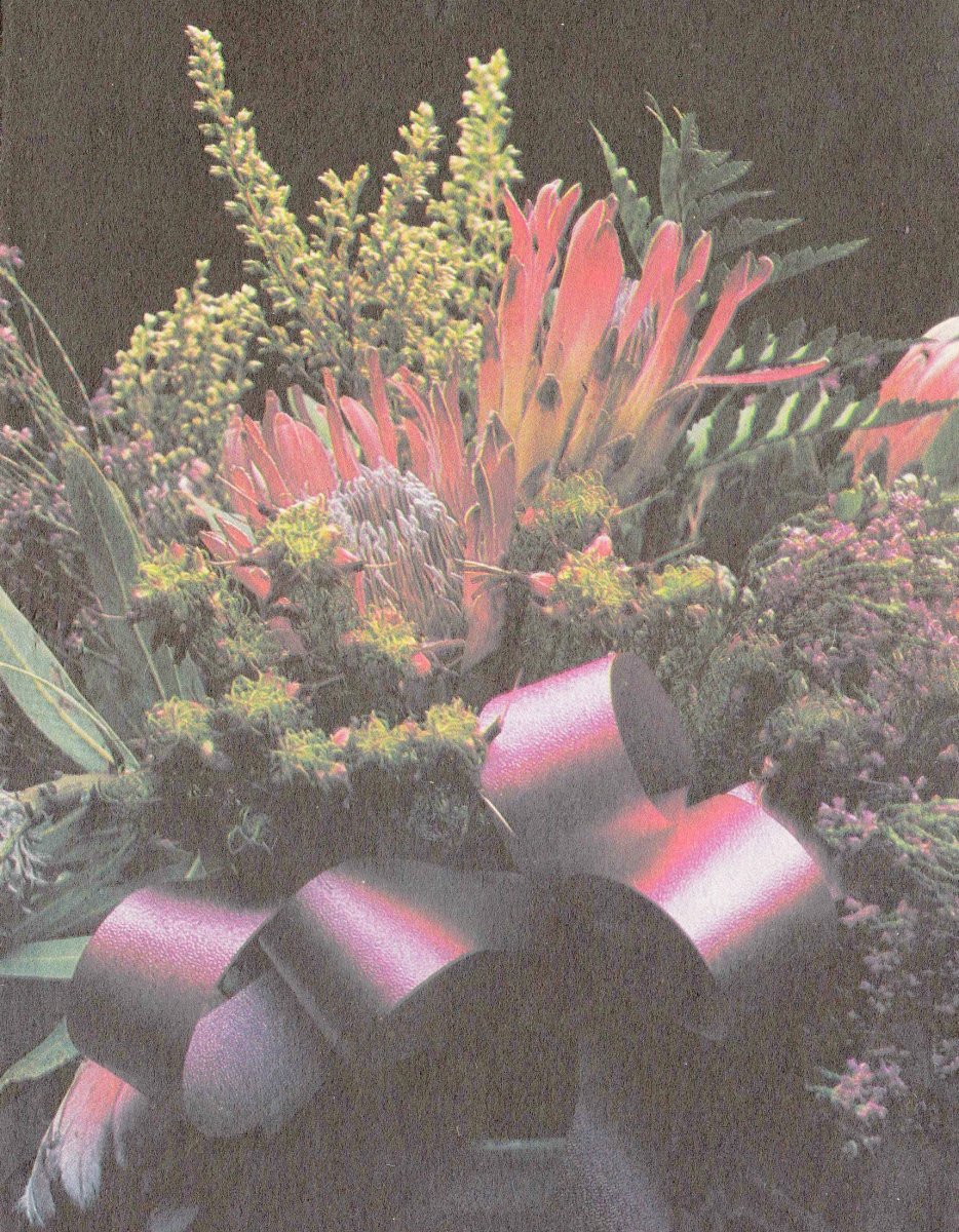 ZYL-VAN-Natalie-1983-1983-F_01