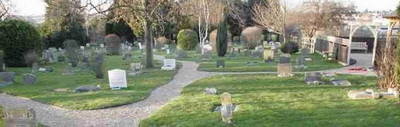 9. today the pdsa cemetery is a much more mature place