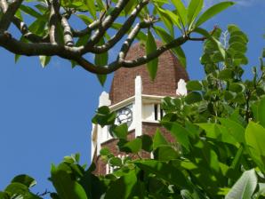 NW-BRITS-Ned.Geref.Kerk-GemeenteKrokodilrivier-2006 (8)