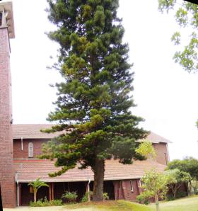 WK-BELLVILLE-Anglican-Church_06